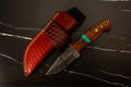 HTK37 - T4NG4 - Clip Point Skinner - HomeTown Knives