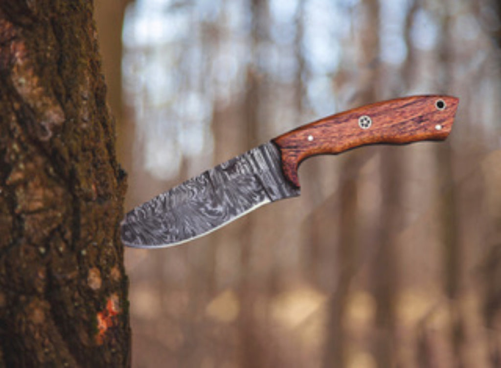 Wilderness Guardian – Handcrafted Damascus Hunting Knife with Rosewood Handle, 9.5" Fixed Blade with Premium Sheath - HomeTown Knives