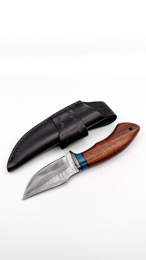 3CSDHT75WR2